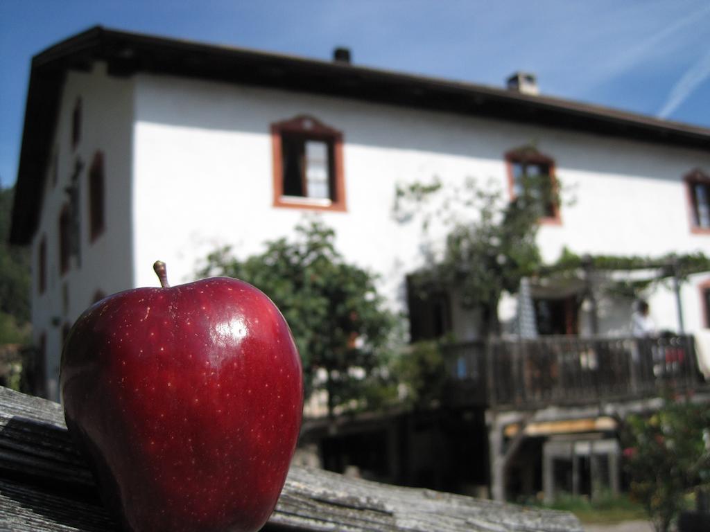 Gruberhof Villa San Genesio Atesino Kültér fotó