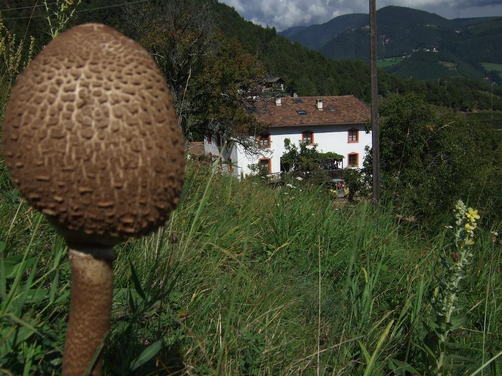 Gruberhof Villa San Genesio Atesino Kültér fotó